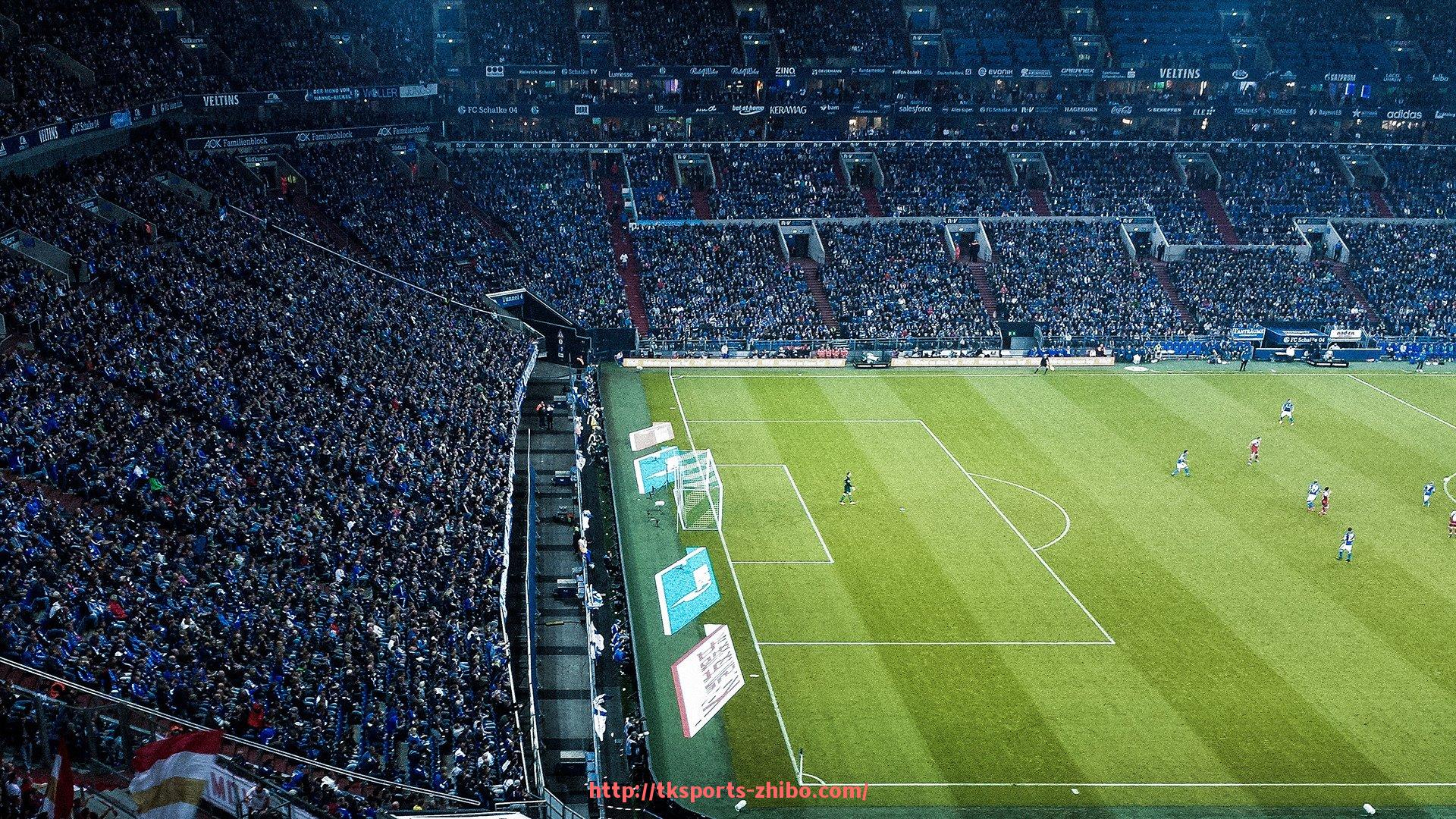 TK体育直播-意甲与中超球队球员名单总览与对比分析